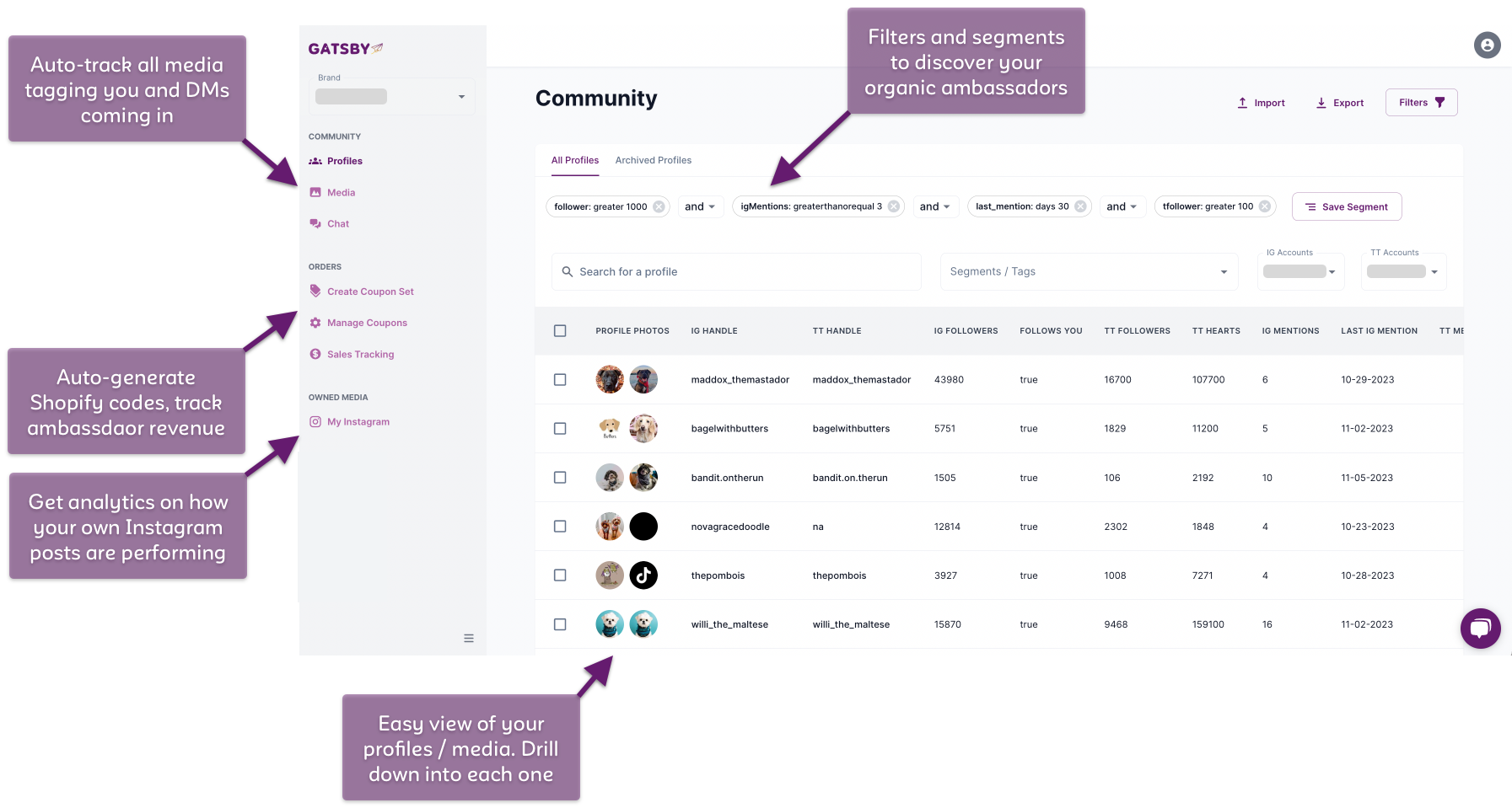 Gatsby Profiles Page Overview Graphic Gatsby Profiles Page Overview Graphic