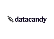 datacandy logo for grid black